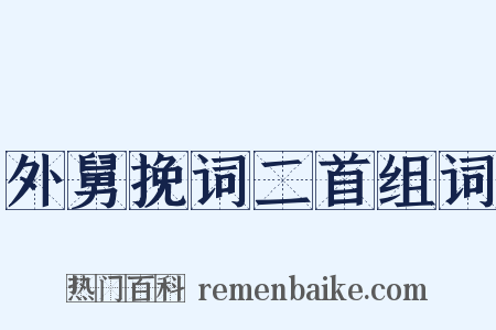 外舅挽词二首组词是什么意思的图片